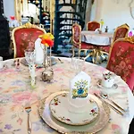 Rum i privatbostad Zamek Pod Brzozami, Wynajem Pokoi Krynica-Zdrój